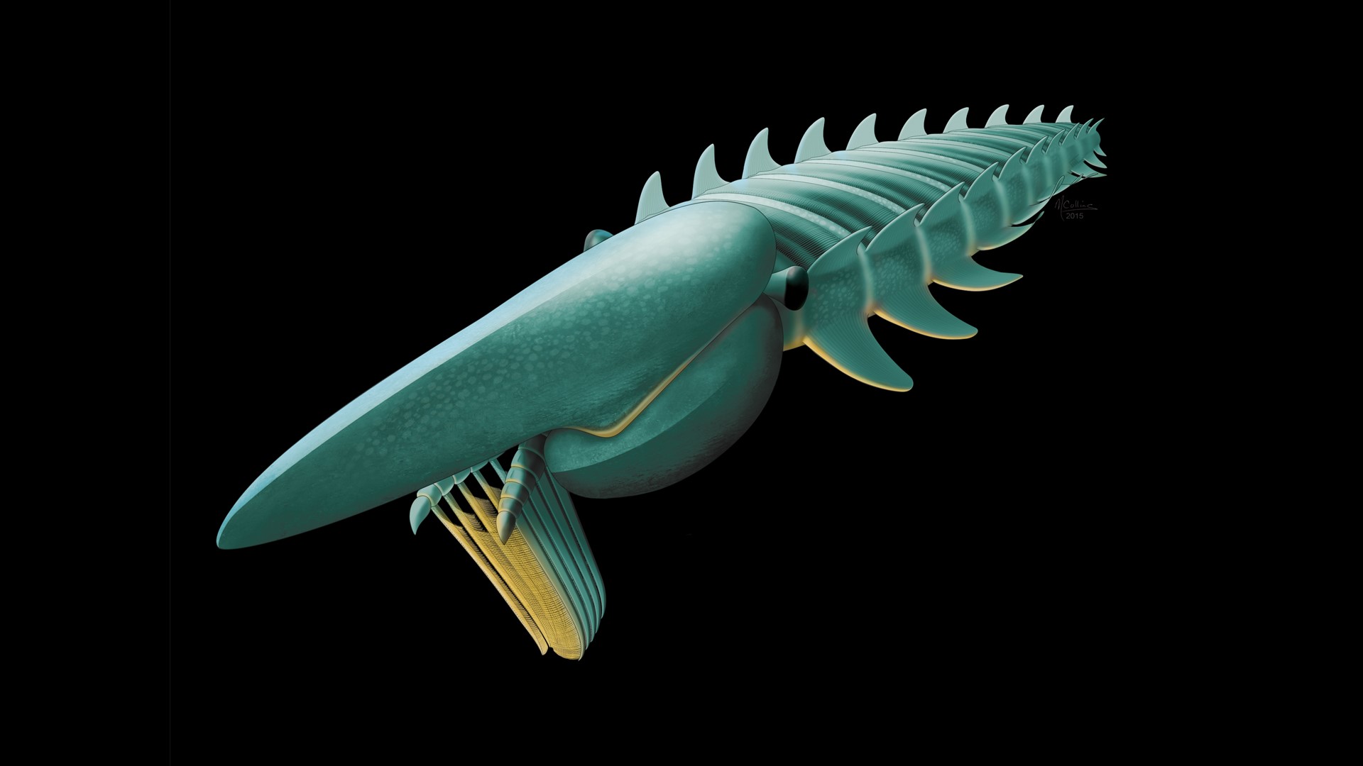 'Sea monster' of prehistoric era resembled 7-foot giant shrimp ...