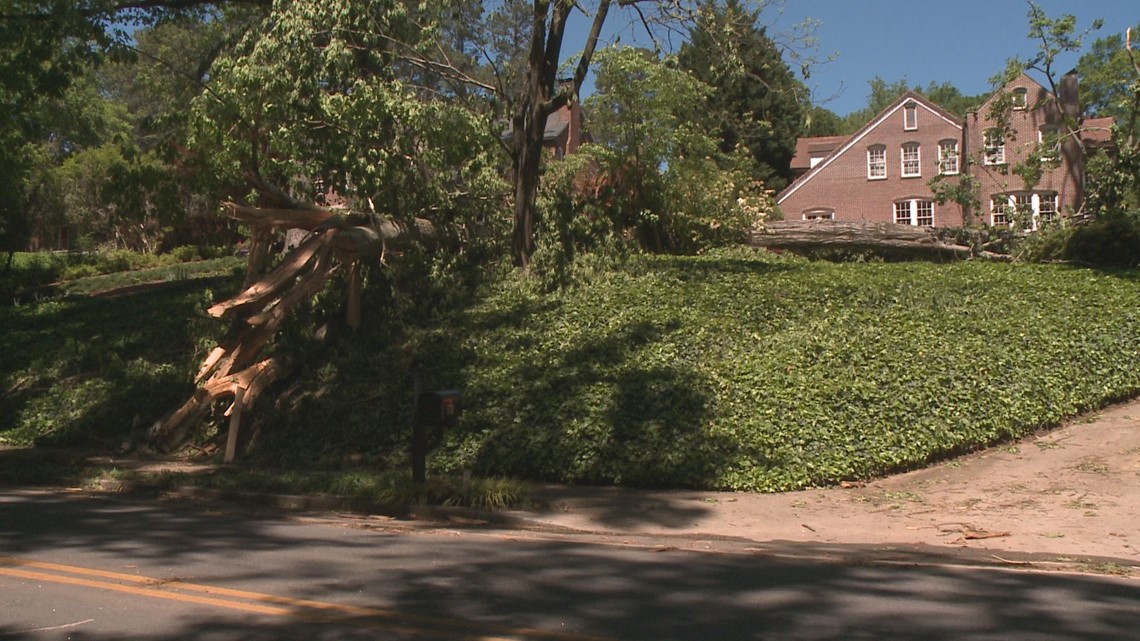 Atlanta tree ordinance in crosshairs