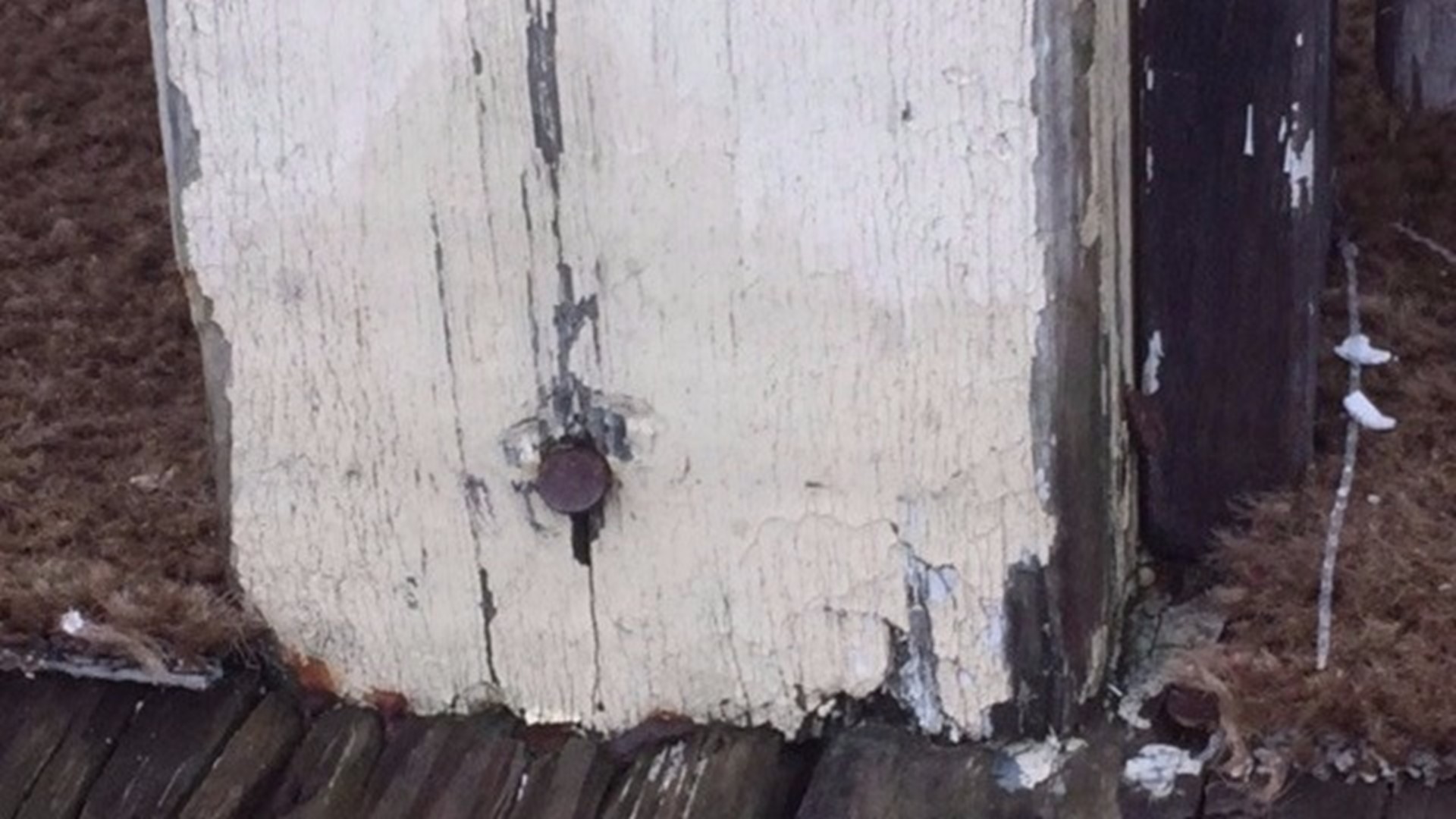 Here's how to get a free lead testing kit