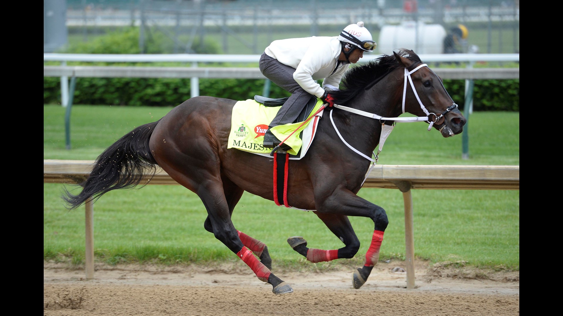 Venezuela's Majesto has shot at history in Kentucky Derby