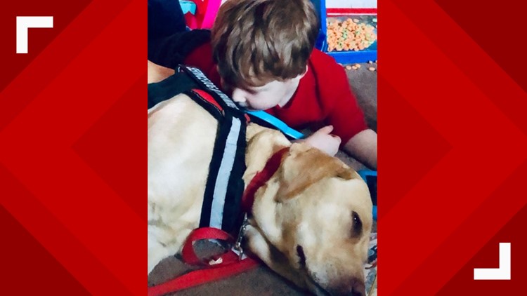 New York Rangers Are Training an Autism Service Dog