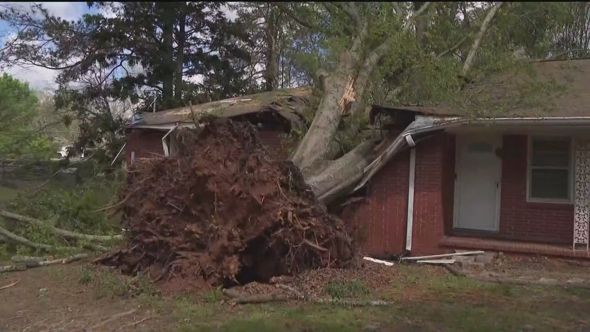 We talked to one resident who had a tree fall onto her home.