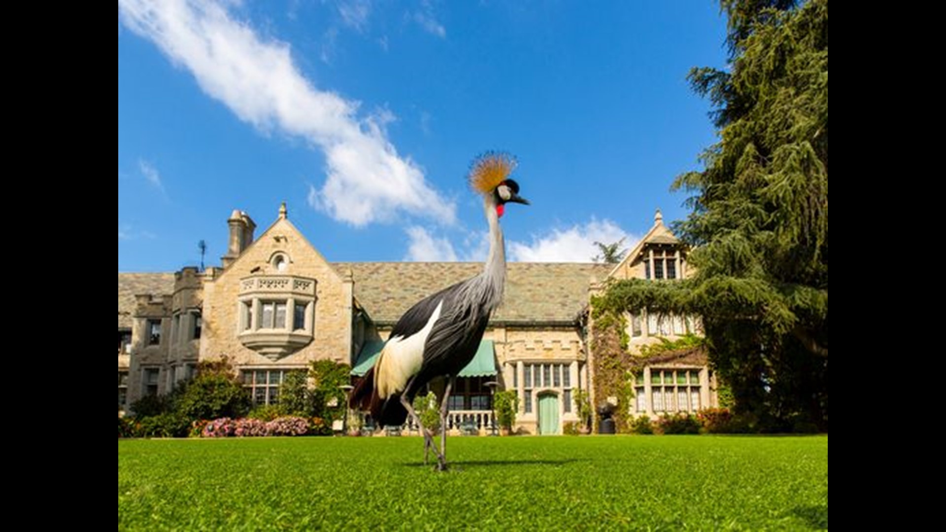 With Hugh Hefner gone, here's the future for the Playboy Mansion ...