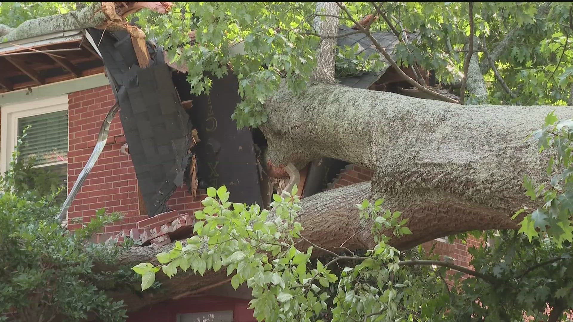 Tree falls onto house in DeKalb, into toddler's room | 11alive.com