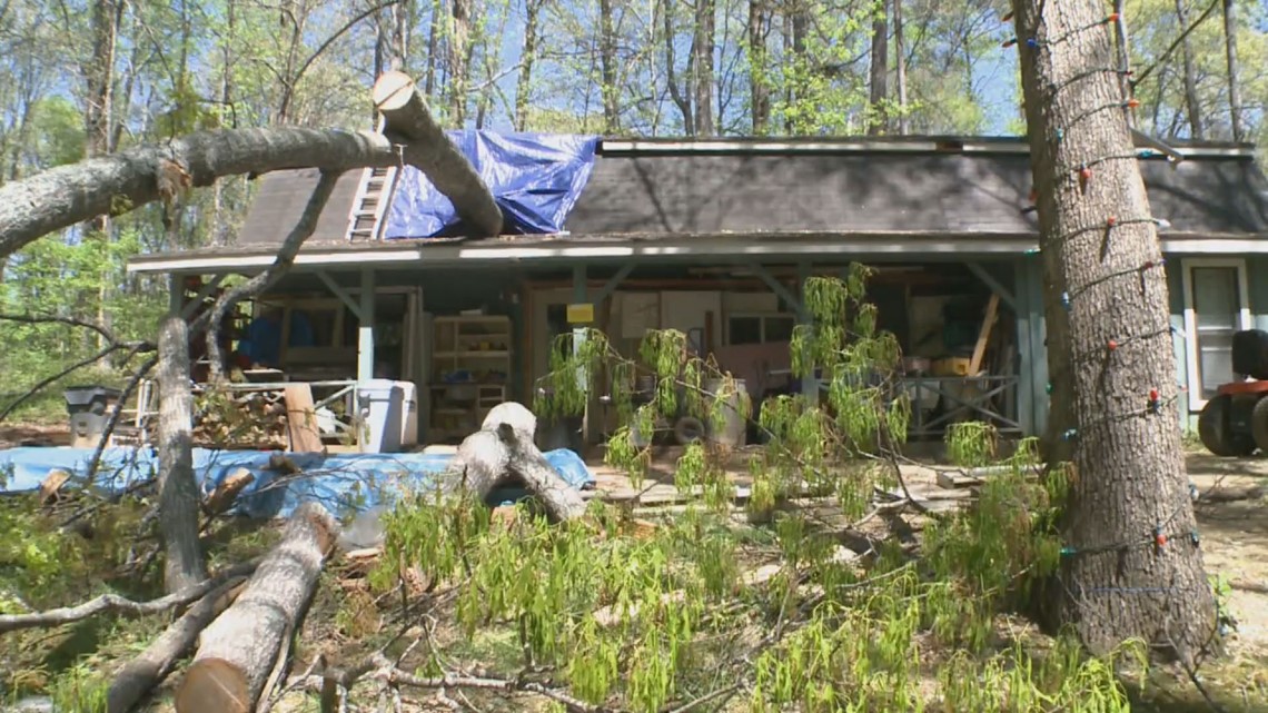 2 women rescued after tree falls on home | 11alive.com