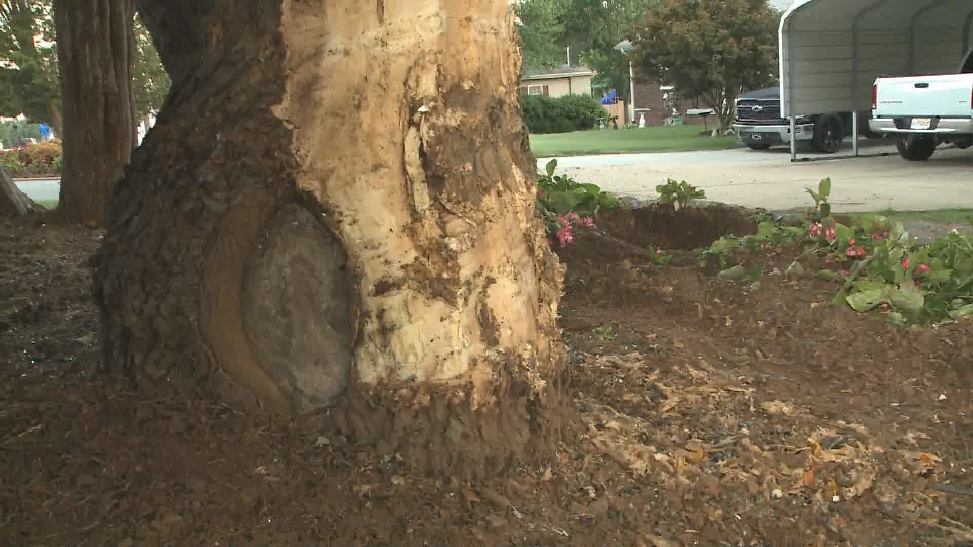 2 killed after SUV crashes into tree | 11alive.com