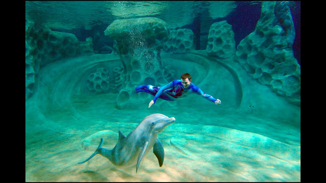 GA Aquarium chosen as best in nation