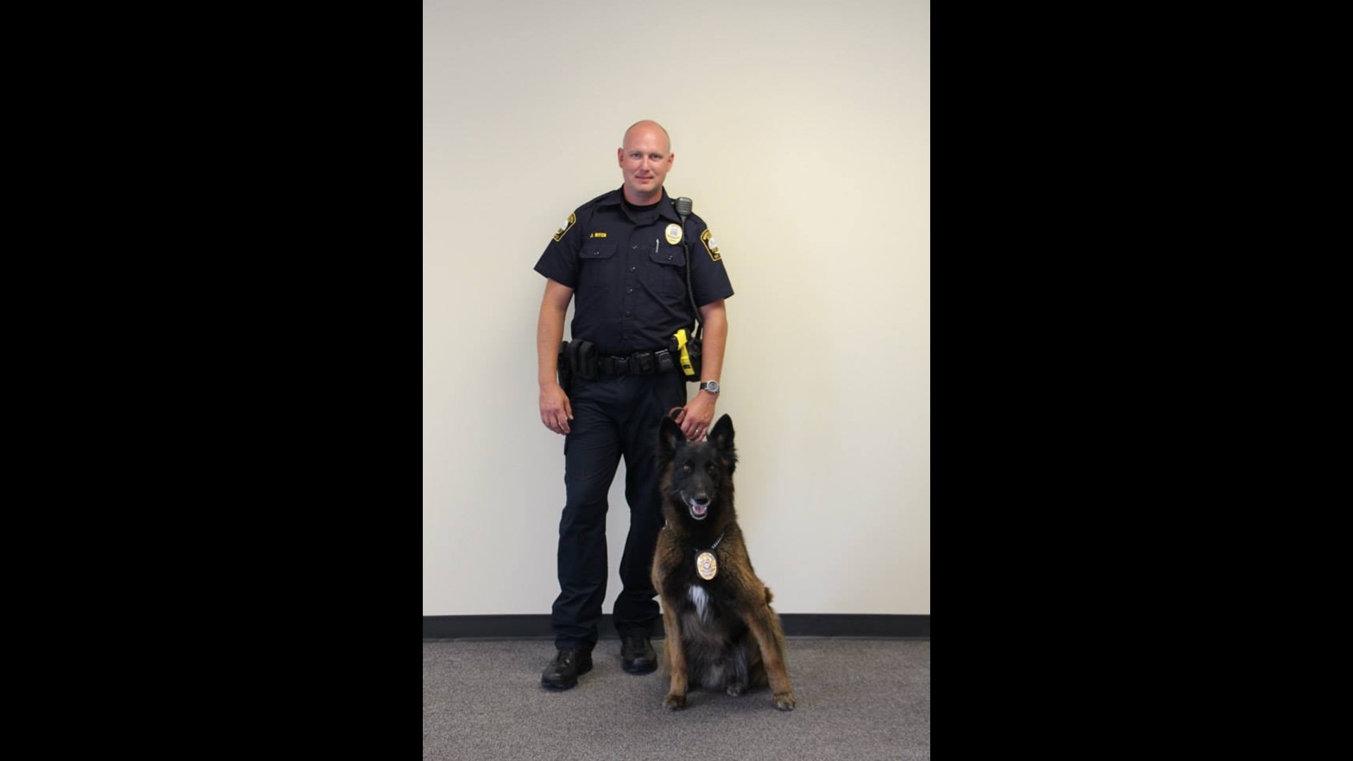 Officer, K9 back home after yellow jacket attack
