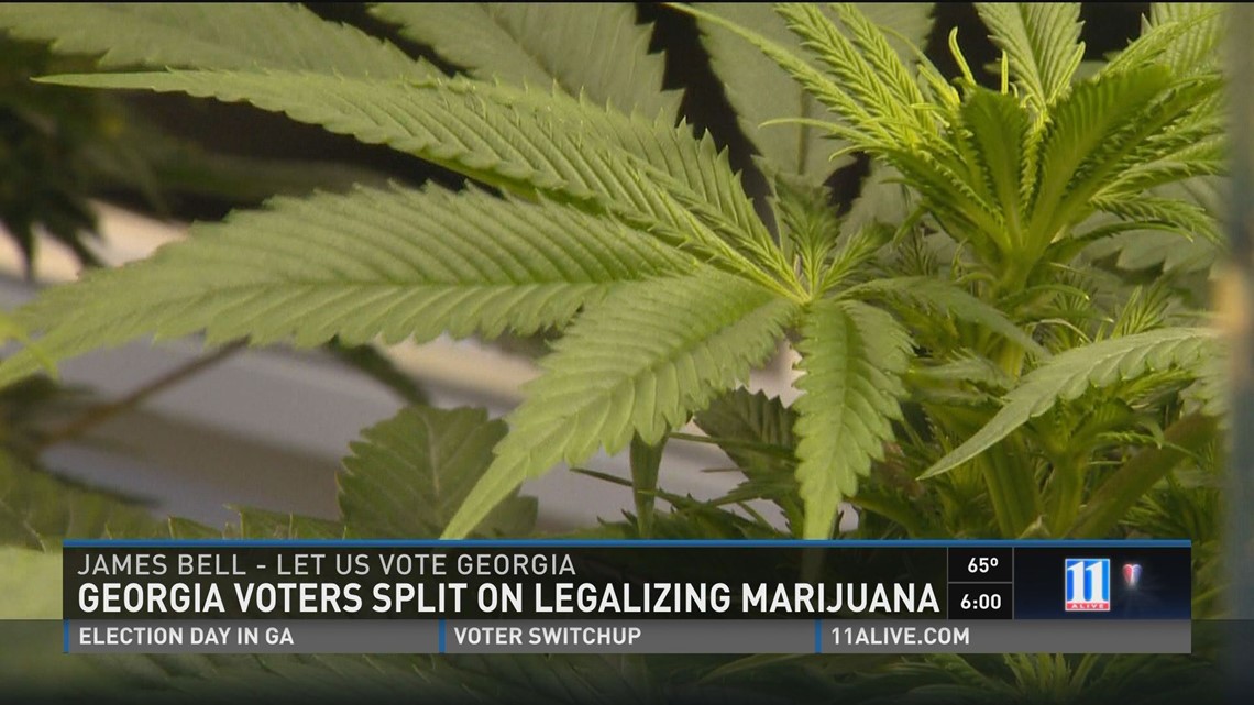 voters split on recreational marijuana legalization