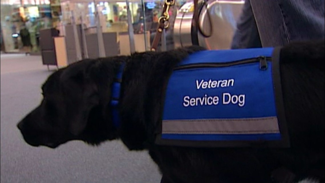 Iraq vet says service dog not allowed on American Airlines flight