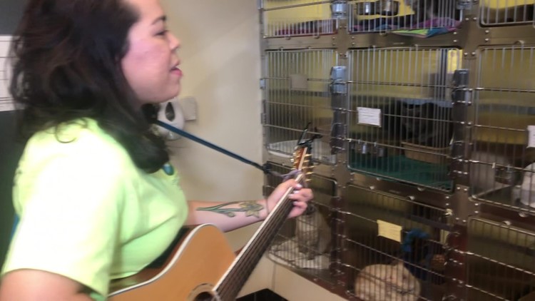 College Students Sings to Cats to Reduce Anxiety