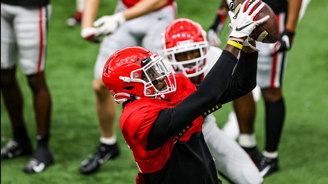 Small change to UGA's football helmet