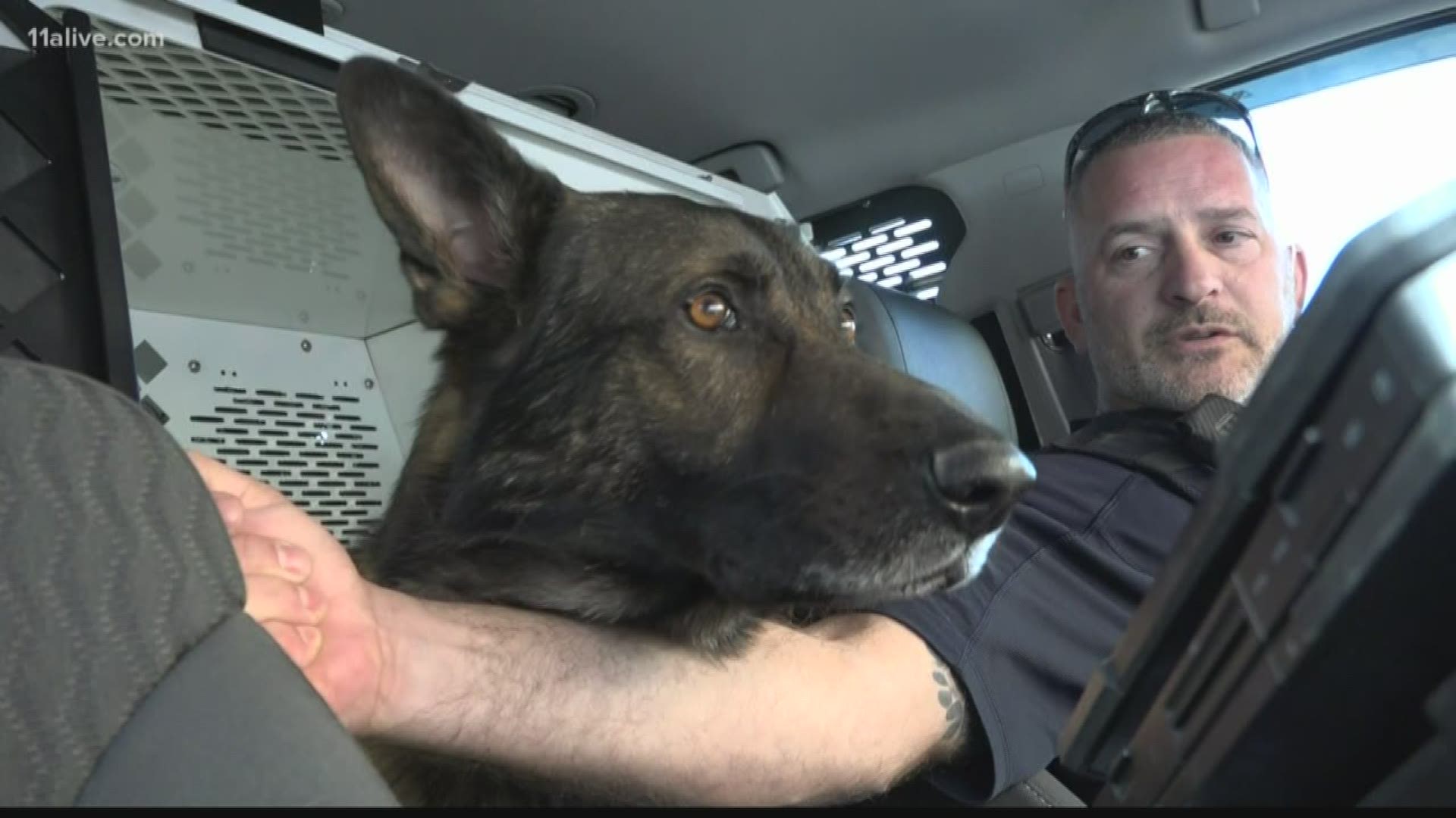 Lawrenceville K-9 police officer helping curb porch pirates | 11alive.com