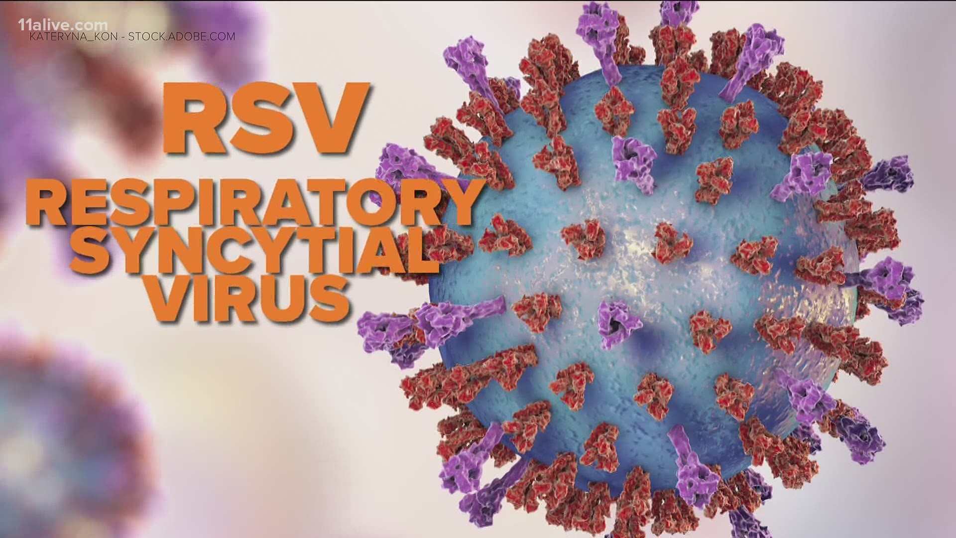 Virus respiratory syncytial Respiratory Syncytial