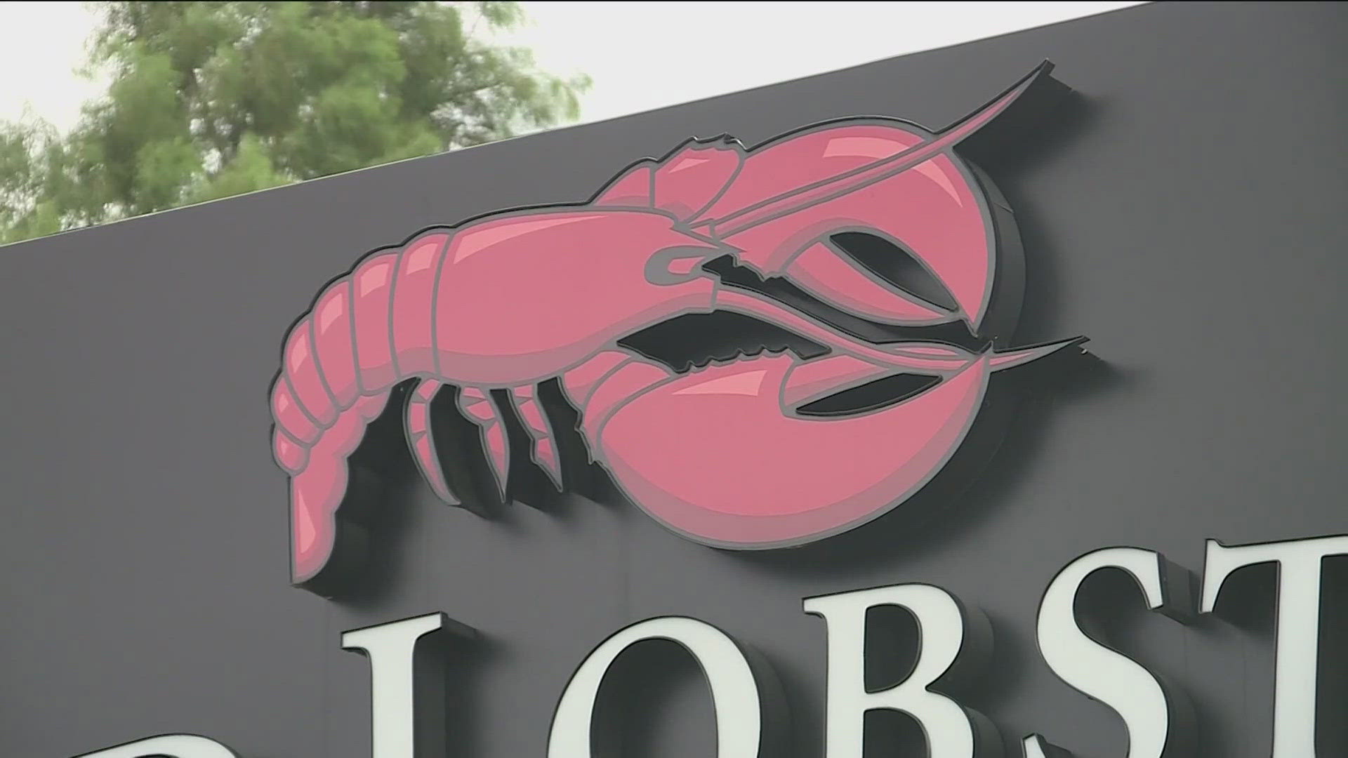 Promotions like the all-you-can-eat shrimp, meant to draw people to the restaurants, ended up hurting Red Lobster's bottom line.