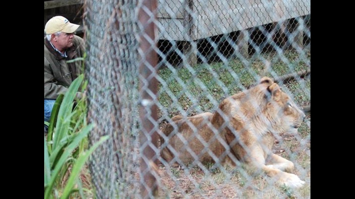 Disney Animal Kingdom Zookeeper Salary - ANIMALQU