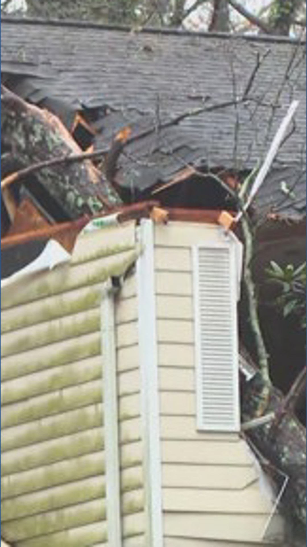 Fallen trees, power outages after strong storms | 11alive.com