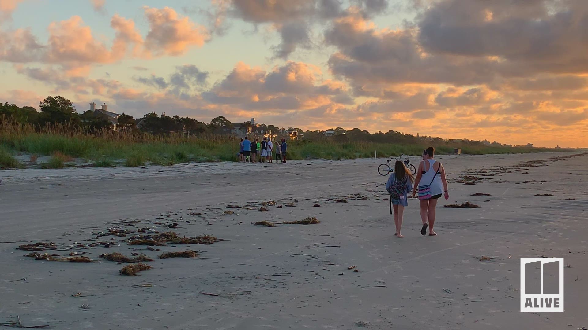 11Alive's Cheryl Preheim spent the day with the Turtle Patrol on the South Carolina Beach.