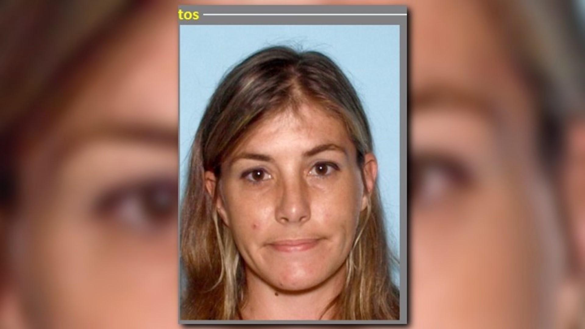 Photos: Barrow Co. drug bust | 11alive.com