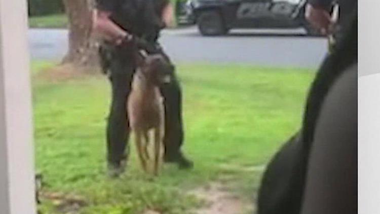 Charges dropped against man bitten by K-9 in Alpharetta