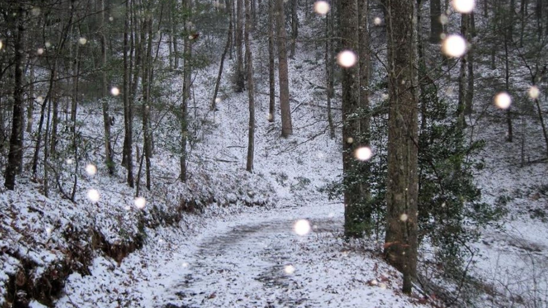 North sees snow for the first time this season