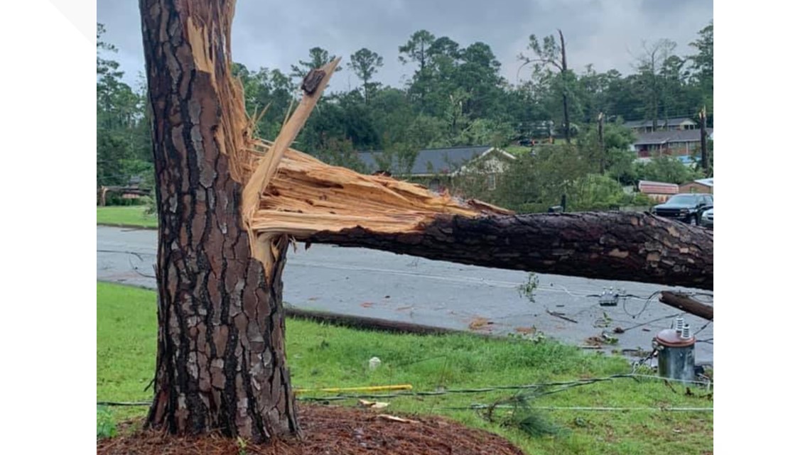 Photos Downed Trees Power Lines And Flooding Heavy Rain Severe