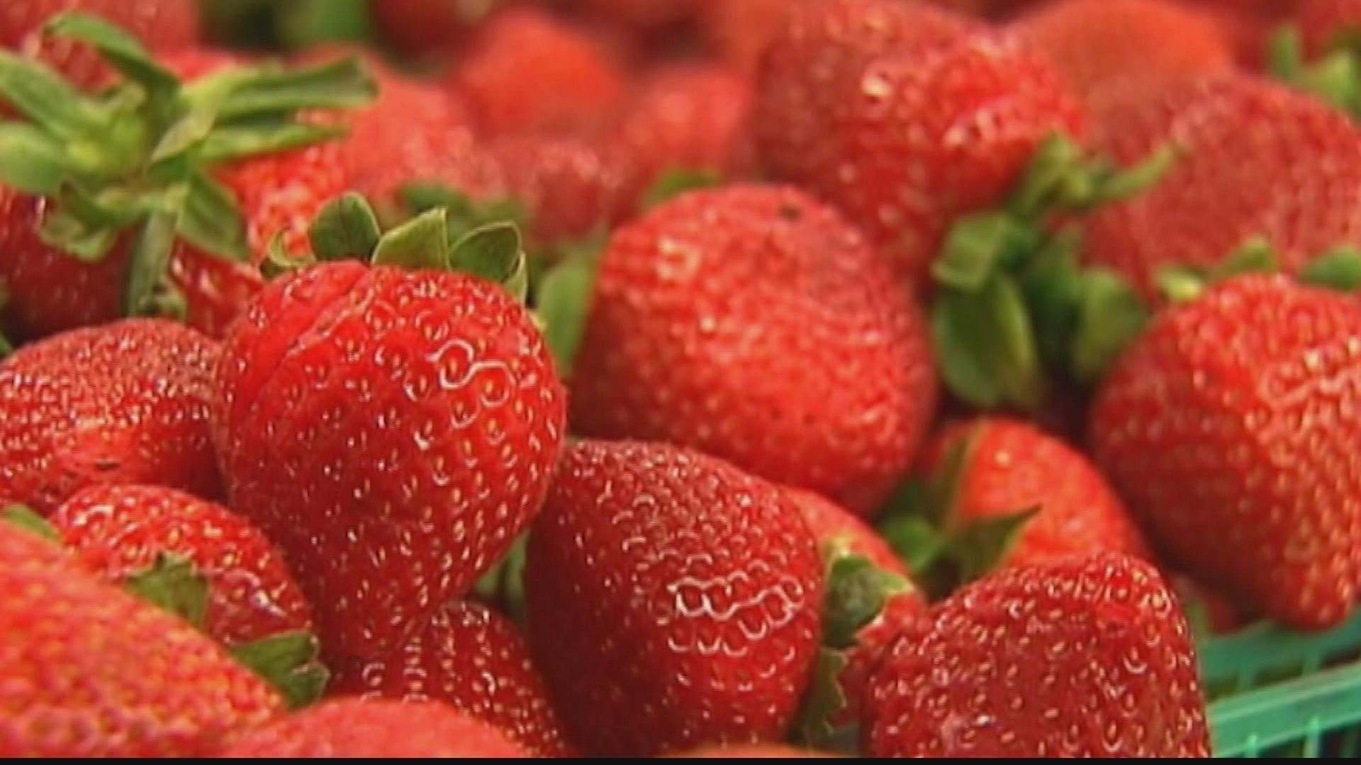 The FDA says the strawberries were sold at, but not limited to Aldi, HEB, Kroger, Safeway, Sprouts, Trader Joe's, Walmart, Weis Markets and WinCo Foods.