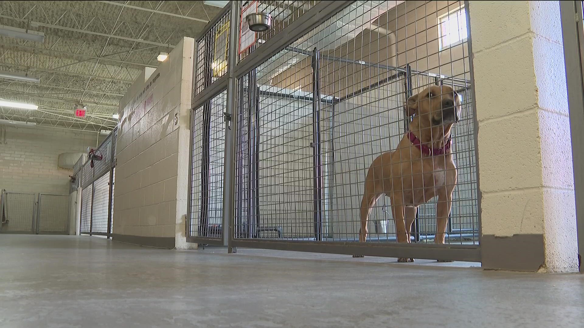 The program involved 10-week cycles where inmate handlers would train with the dog to prepare for adoption.