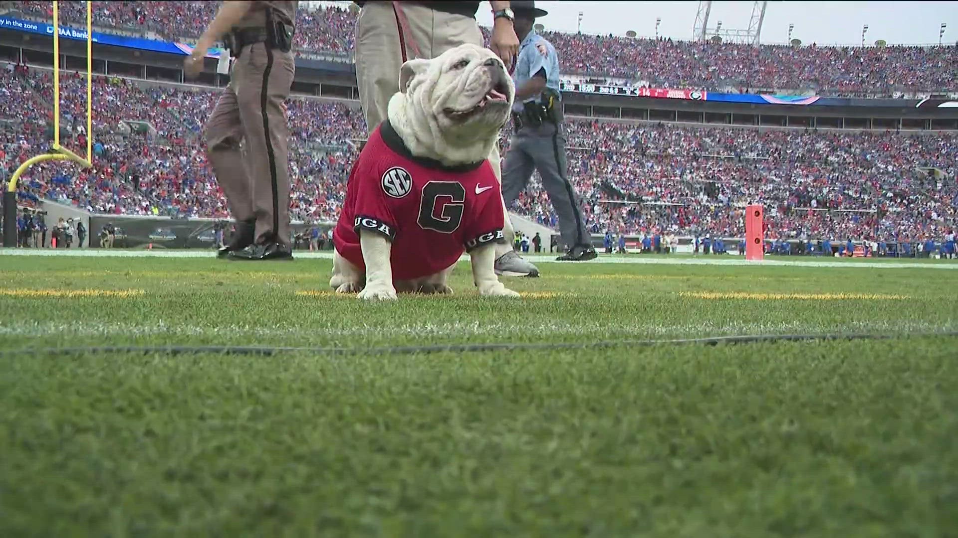 The bulldog, lovingly known as "Que," died peacefully at his home in Savannah.