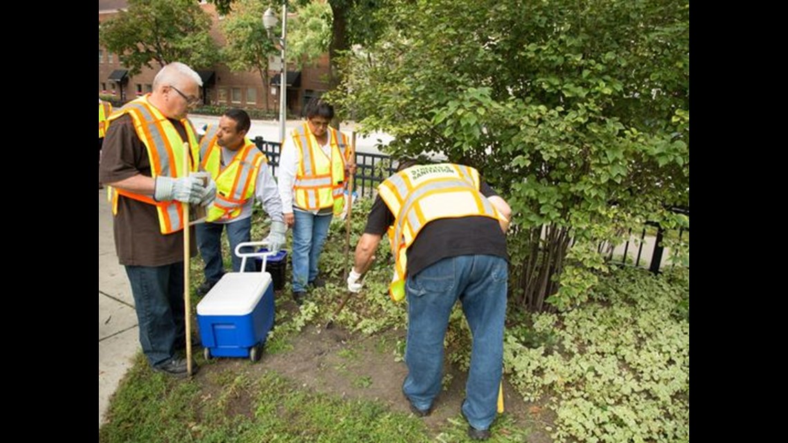 EPA to big cities Stop killing rats with dry ice