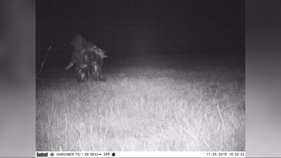 monster on trail cam