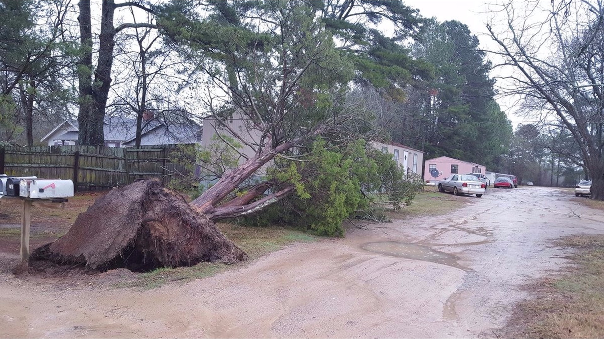 Striking photos show storm damage in SW