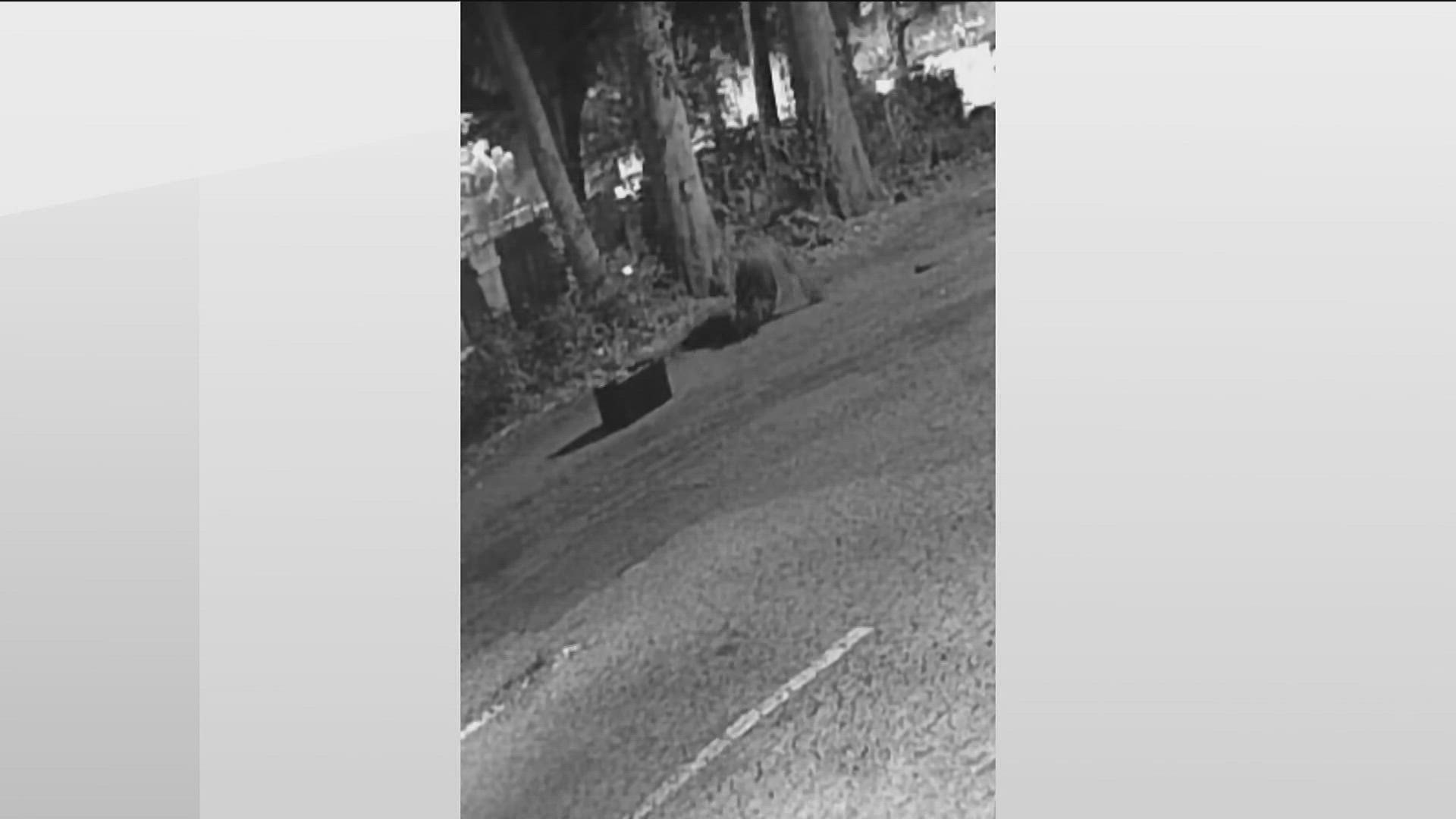 Buttermilk Kitchen Buckhead robbery surveillance video