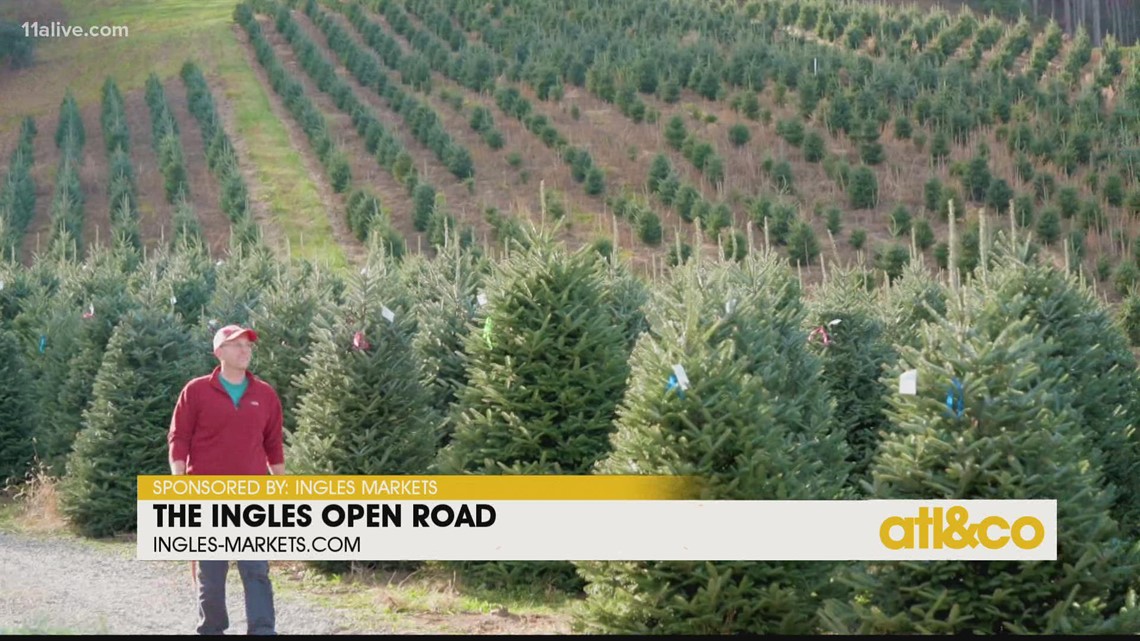 The Ingles Open Road: Boyd Mountain Christmas Tree Farm | 11alive.com