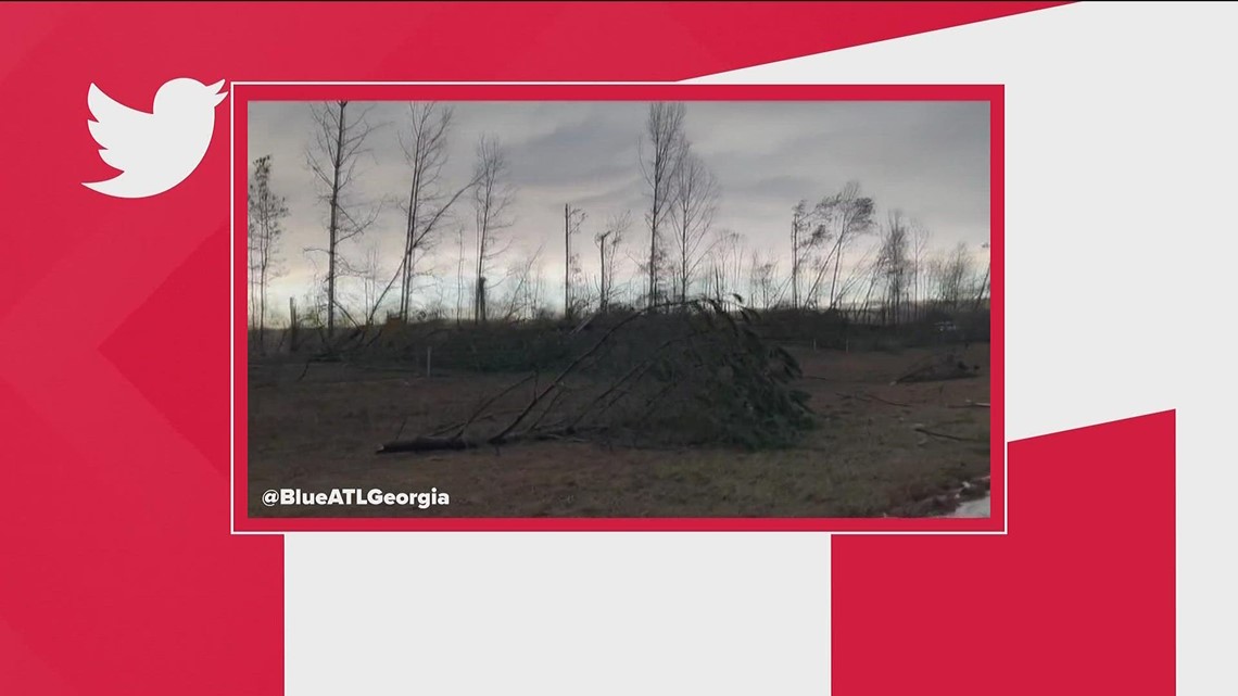 Line of trees knocked down in LaGrange storm