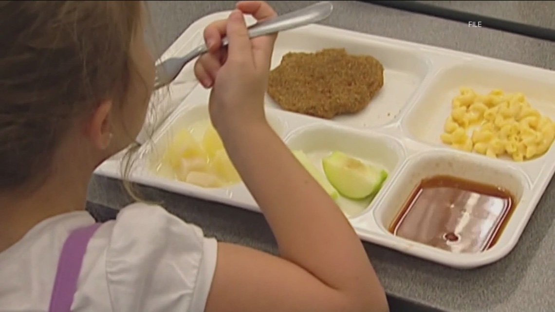 Democrats push for Georgia to participate in federal Summer EBT meal ...