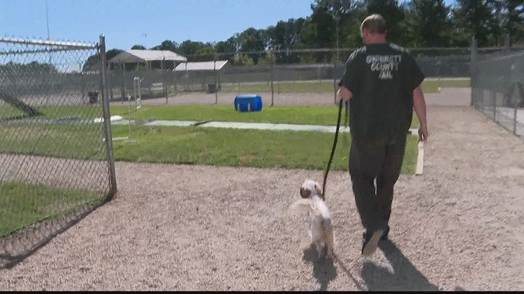 How Gwinnett County inmates are helping shelter dogs get adopted