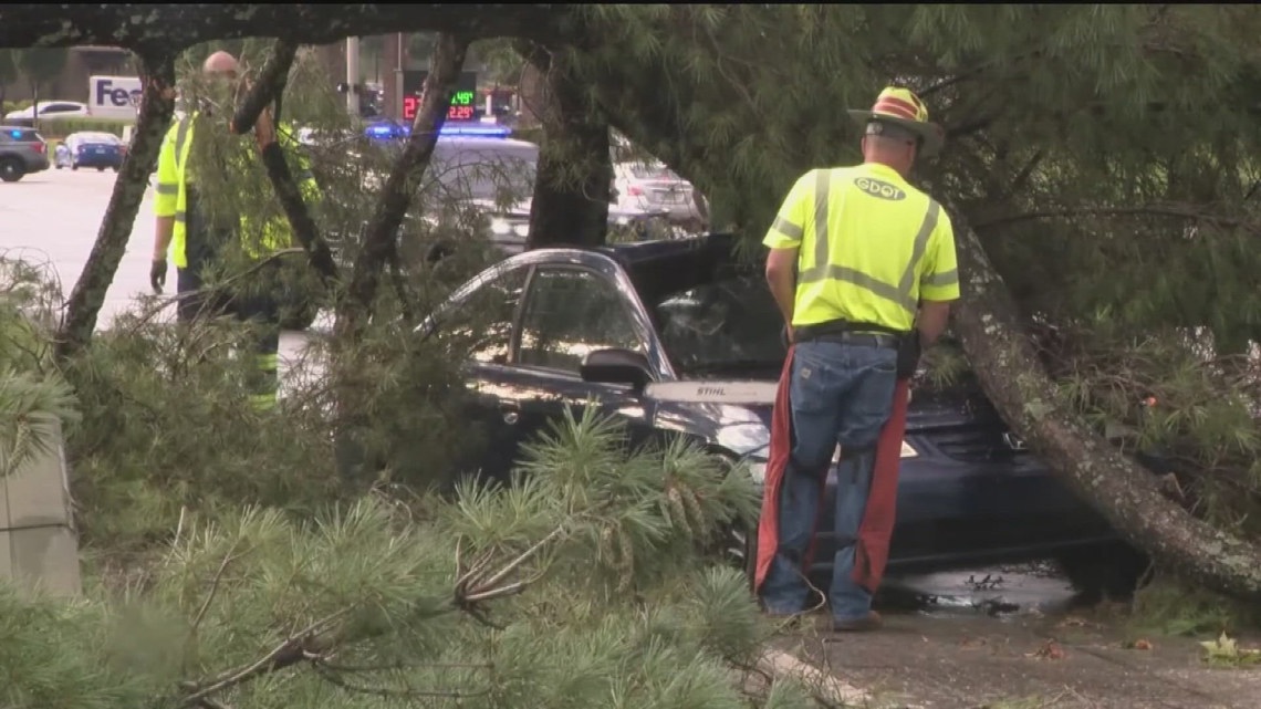 Tree falls onto car on Jimmy Carter Boulevard in Gwinnett County ...