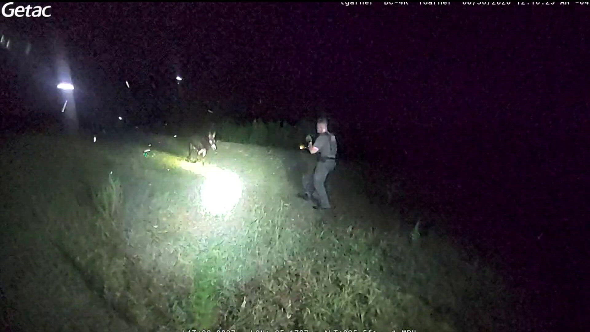 The Development Donkey New court documents allege officer who fatally shot HeeHaw the donkey ...