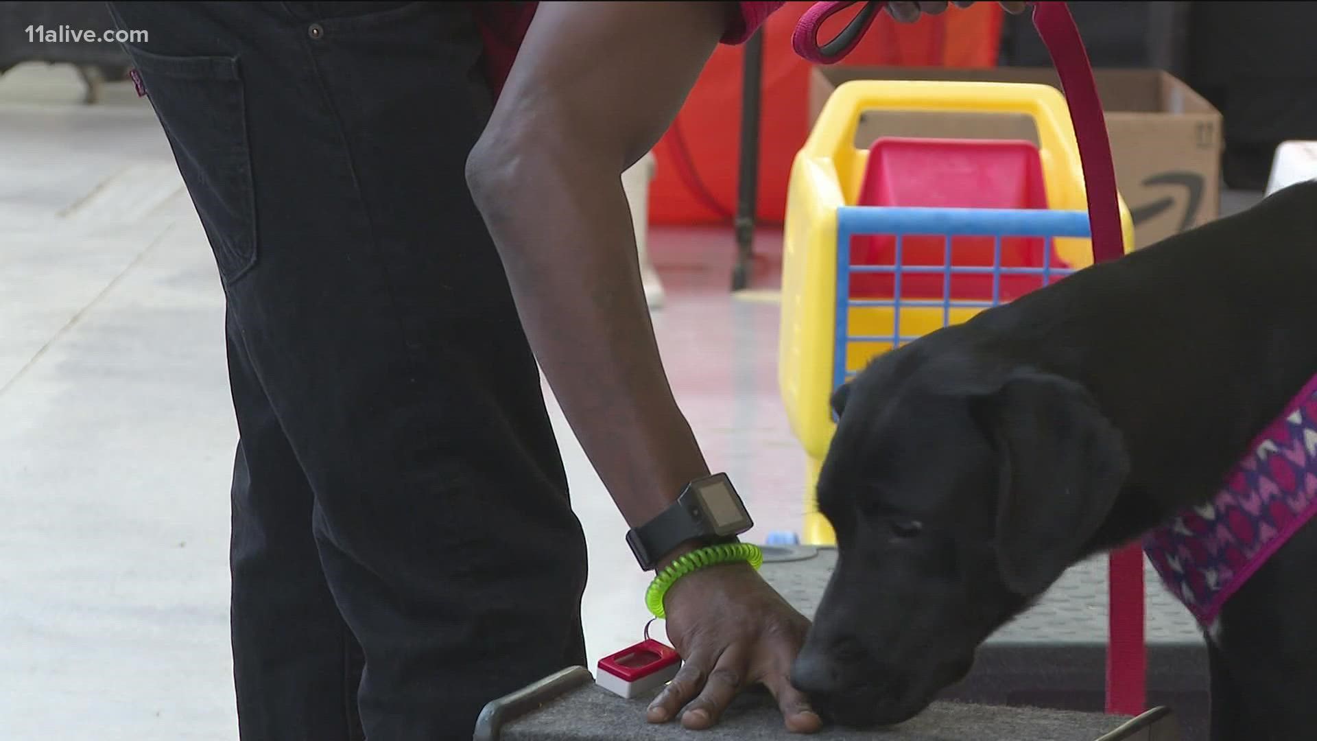 Canine Cellmates usually works with inmates to train dogs while they're behind bars, but this new program tries to reach the men before they get to jail.
