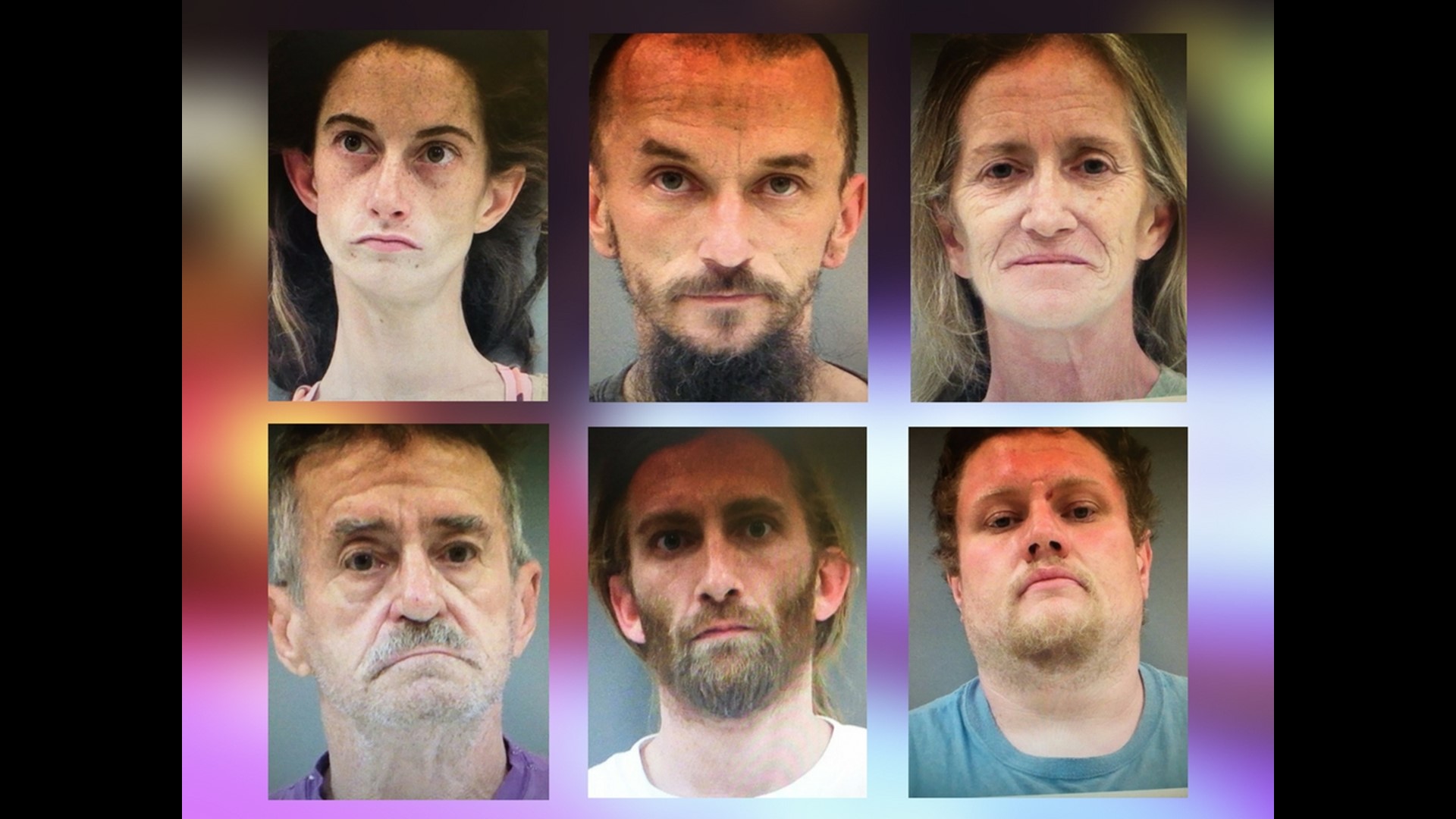 Bust nets 6 arrests, 4 alleged drug dealers in NE Georgia | 11alive.com