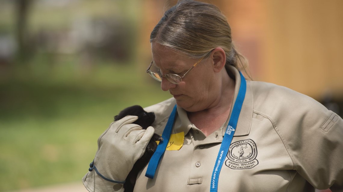 Puppy Mill Bust In North Georgia Uncovers Hundreds Of Animals In ...