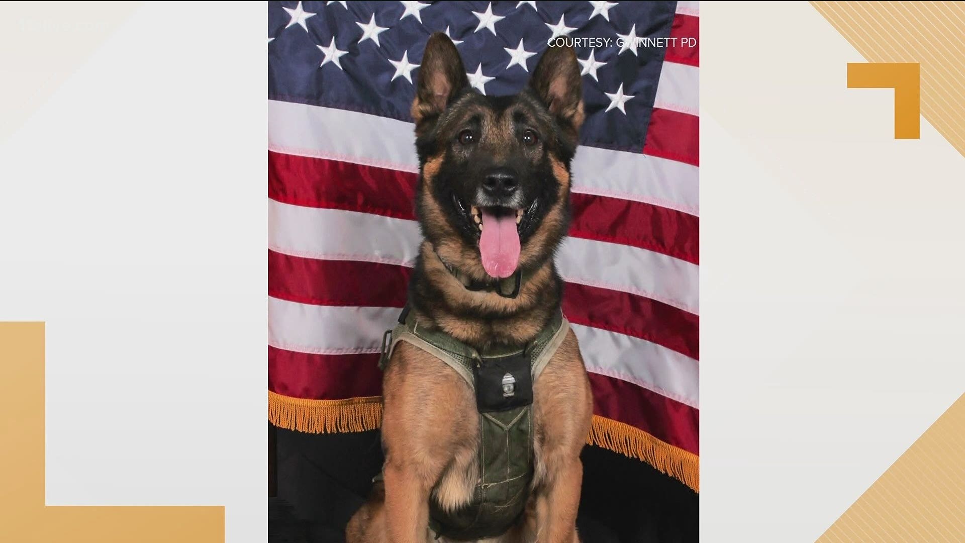 Blue was killed in the line of duty on Sept. 10 while tracking a suspect who fled from a stolen vehicle.