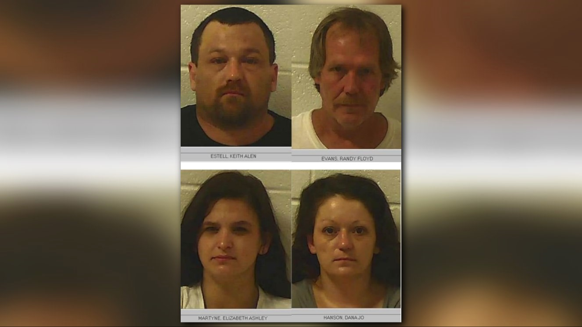 4 arrested on drug-related charges in N. Georgia | 11alive.com