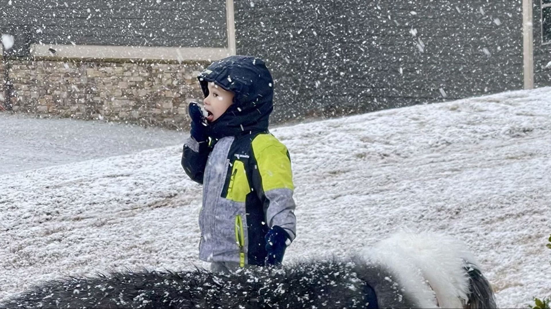 Snowing In Georgia Snow, winter weather north Georgia, metro Atlanta | Live Updates ...