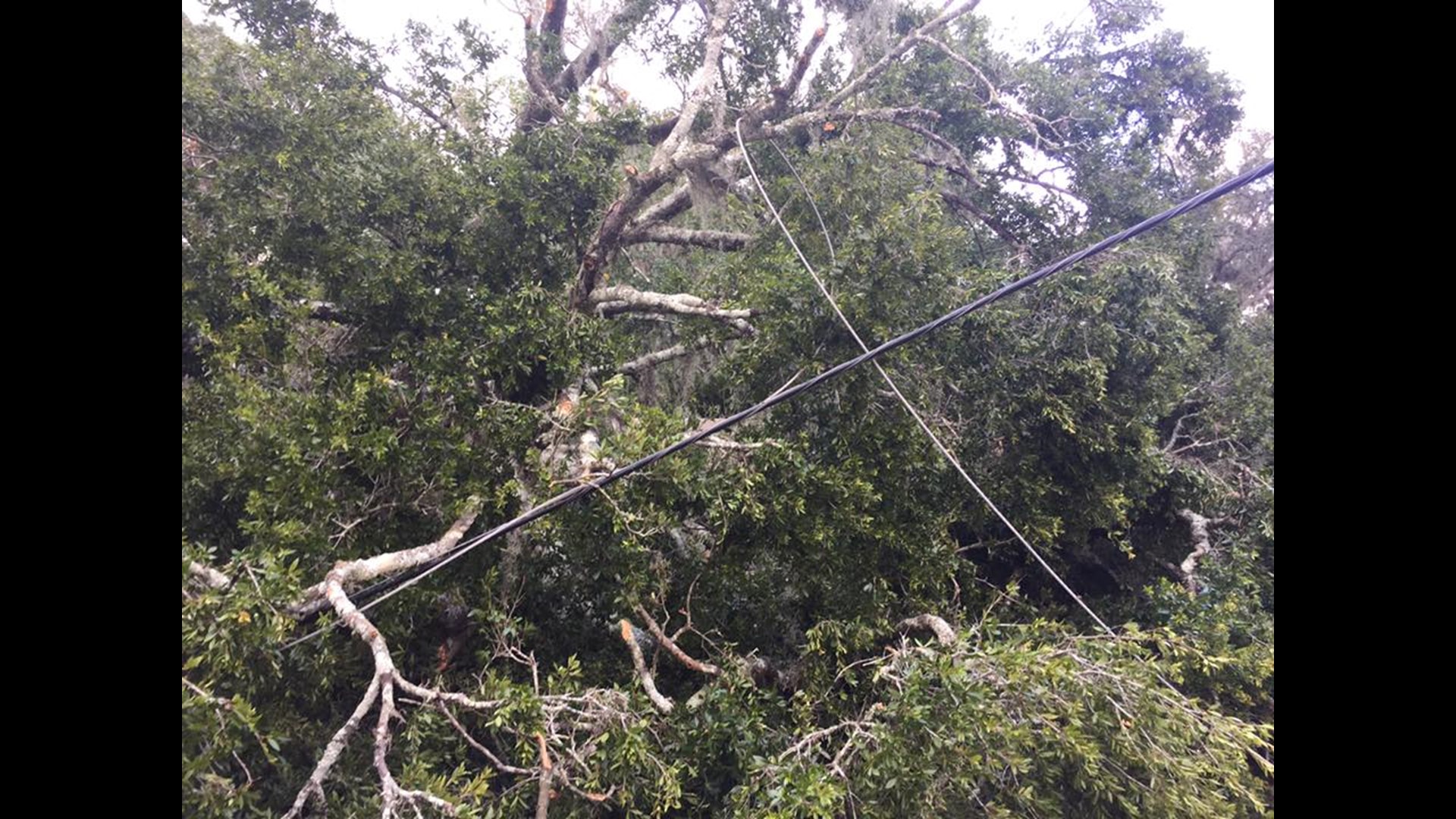 DFCS releases September food stamp benefits early