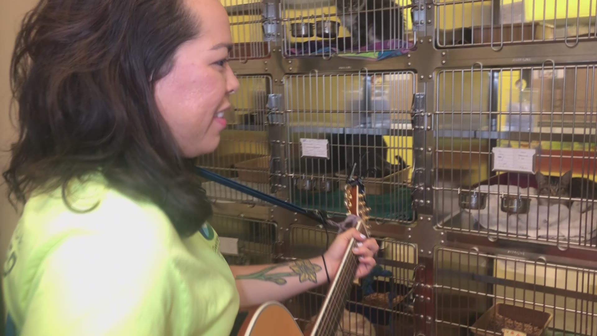 Video of student volunteer singing to cats at Gwinnett Animal Shelter