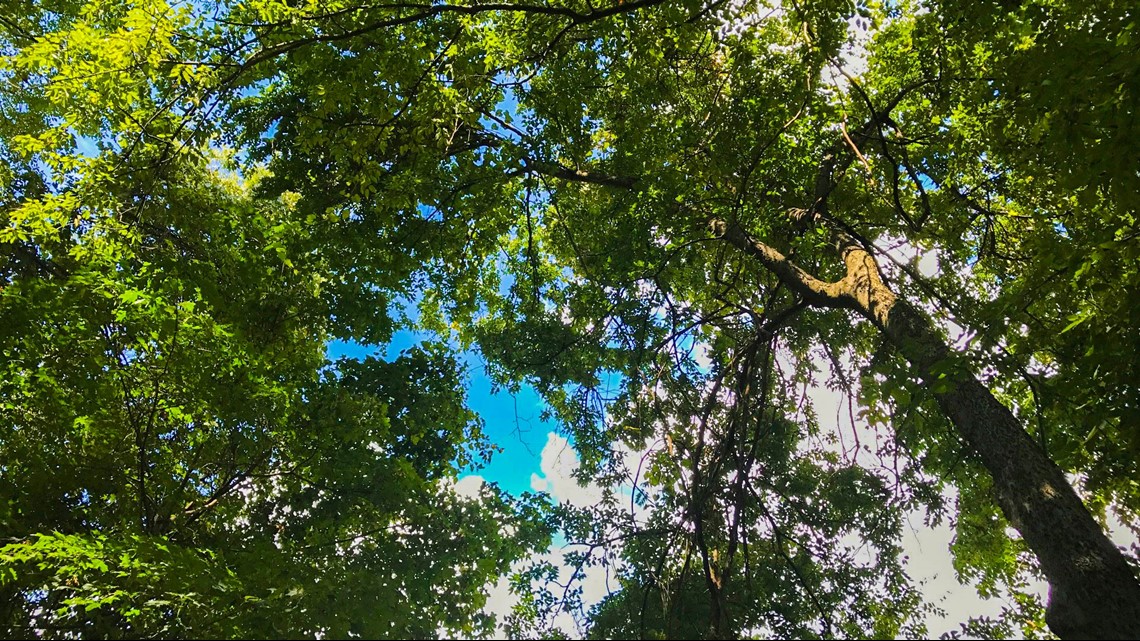 Photos Inside The Body Farm