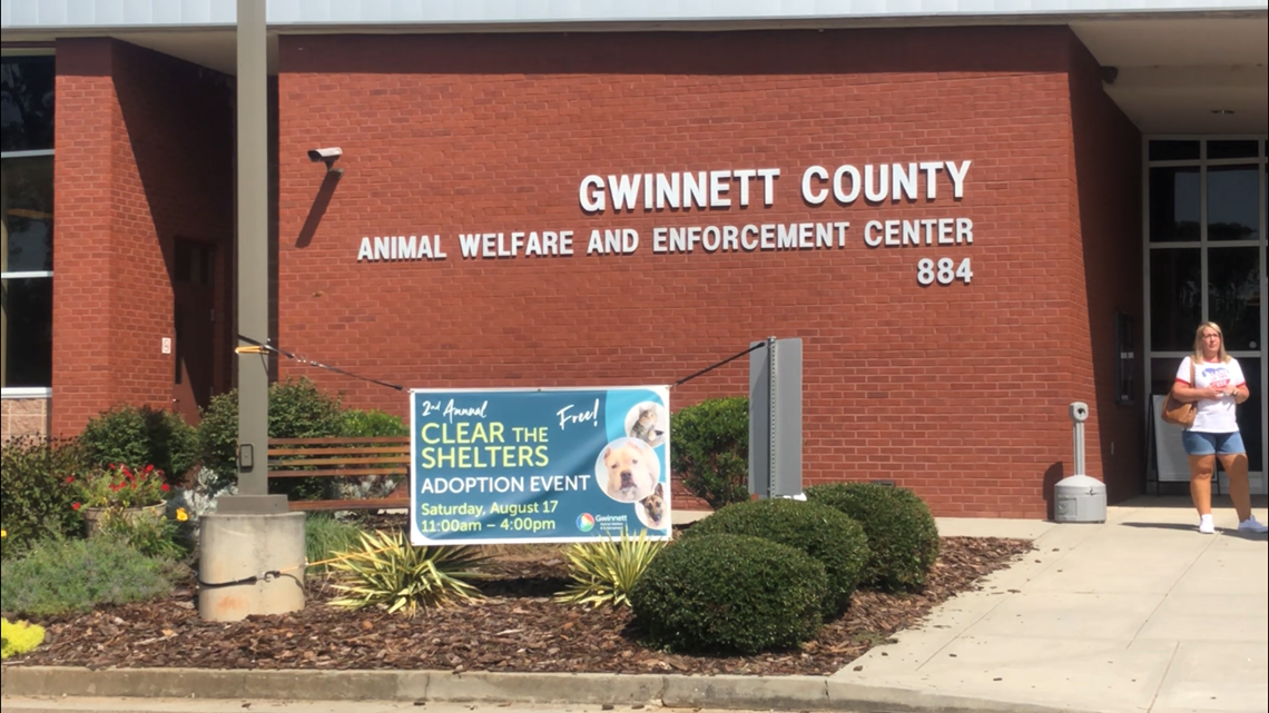 Gwinnett County gets ready to clear the shelter | 11alive.com