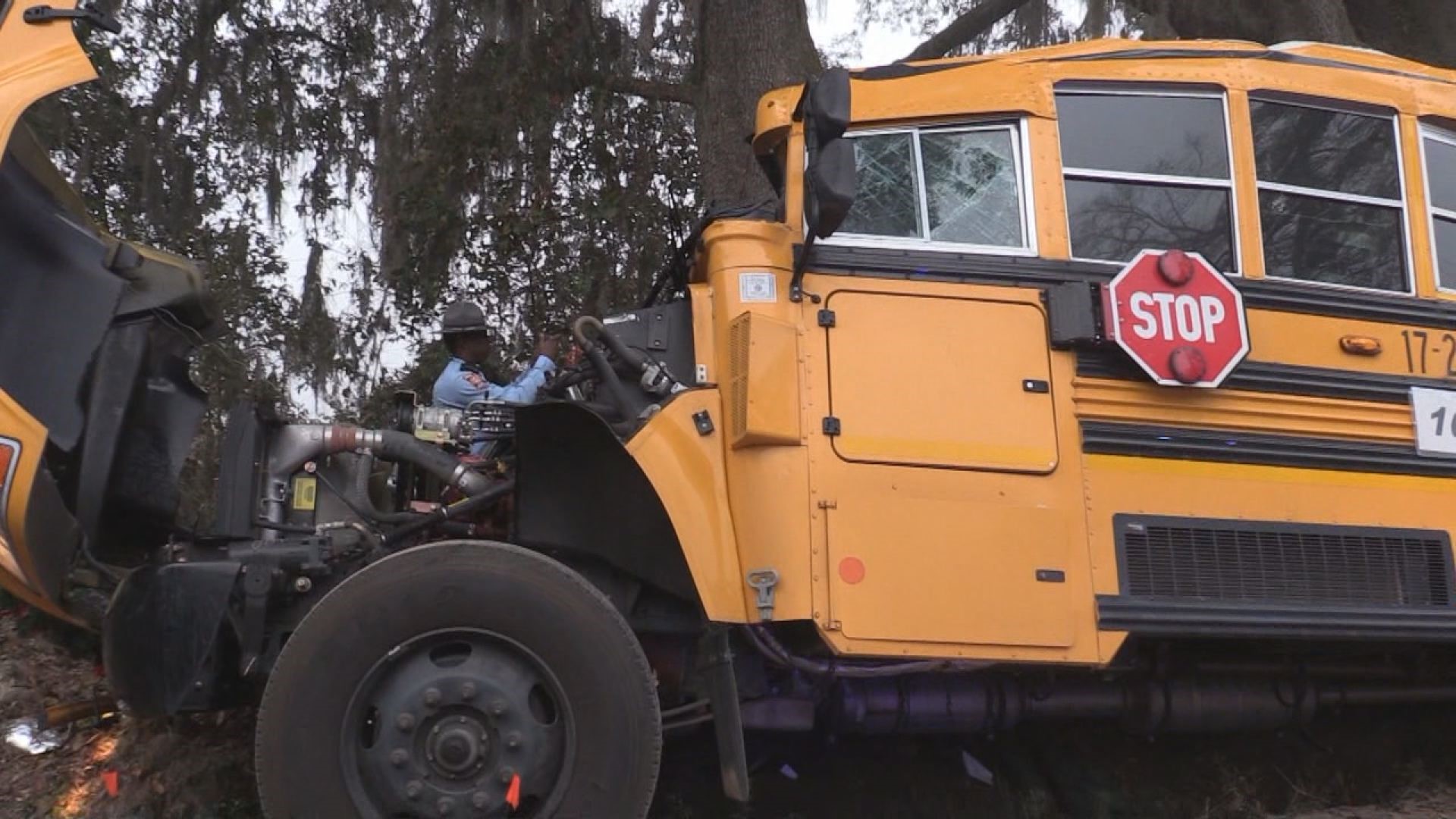 5-year-old girl dead, 21 children injured after school bus crashes into ...